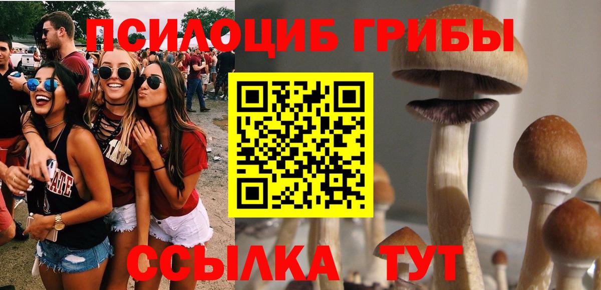 Псилоцибиновые грибы Cubensis  Вход с VPN  как найти закладки  Торжок 